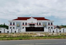 Kasus Dugaan Korupsi Anggaran Bawaslu Bengkulu Tengah, Kejari Sudah Periksa 100 Orang Saksi