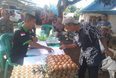 Pemdes Lubuk Puar Kembangkan Ayam Petelur untuk Program Ketahanan Pangan, 1.020 Bibit Dibagikan