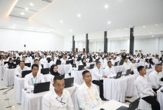 PPPK Tahap 2 Diminati Peserta Lansia, Berikut Ketentuan Usia Pensiun ASN Kontrak