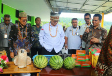 Dari Timur Indonesia, Wamentan Ajak Generasi Muda Berperan dalam Pembangunan Pertanian