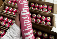 Kasus Whip Pink, Influencer Ini Bakal Dijemput Paksa Bareskrim