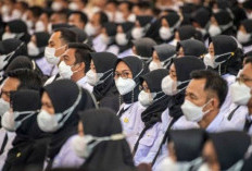 PPPK Paruh Waktu dan Downgrade Harus Kompak Memperjuangkan Regulasi Peningkatan Status