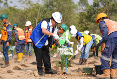 Hari Pohon Sedunia, Grup MIND ID Telah Menanam Jutaan Pohon untuk Reforestasi