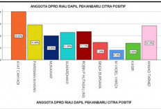 Survei Opini Rakyat Soal Anggota DPRD Riau, Citra Sumardany Meningkat