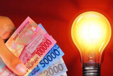 Tagihan Listrik Bengkak Jadi Alasan Sekolah Tak Nyalakan Lampu Berbinar