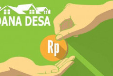 Dinas PMD Sebut 18 Desa Telah Cairkan Dana Tambahan, Segini Besarannya 