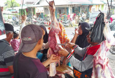 Jelang Bulan Ramadan, Harga Daging Stabil Rp140 Ribu per Kg