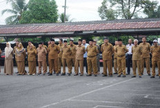 Lelang Jabatan Eselon II Diminati Pelamar dari Luar Bengkulu Tengah, Total Pendaftar 48 ASN