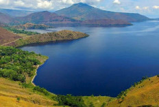 Pesona Bukit Holbung Danau Toba, Tawarkan Keindahan Alam yang Memanjakan Mata 