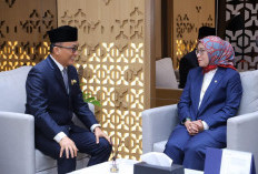 Pernyataan Terbaru Kepala BKN soal PPPK 2024 Tahap 2, Pakai Kata Tolong