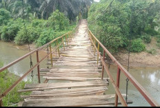 Jembatan di Desa Pagar Dewa Rusak Parah, Begini Kondisinya