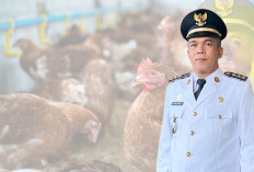 Kemendes Kucurkan Bantuan Ayam Petelur ke Desa Batu Raja, Camat: Pengelolaan Desa Luar Biasa