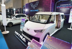 Wuling Guncang IMX 2025! Mitra EV Bergaya Lounge Mewah hingga BinguoEV Gratis