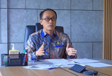 Penjelasan BKN soal Tugas Belajar Bagi PPPK, Tidak Perlu Mengundurkan Diri