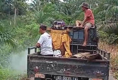 Antisipasi Kecelakaan Lalu Lintas, Rumput Sepanjang Jalan Lintas Desa Paju Haji Ditebas