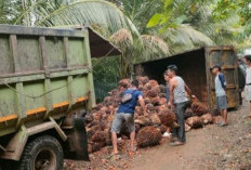 Kondisi Akses Jalan Rusak, Truk Milik Kades Layang Lekat Terbalik