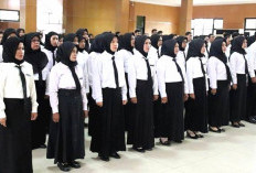 PPPK Paruh Waktu Termasuk ASN? Ini Penjelasannya