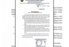 Ternak Berkeliaran Dikeluhkan Warga, Satpol PP Bengkulu Tengah Terbitkan Surat Edaran