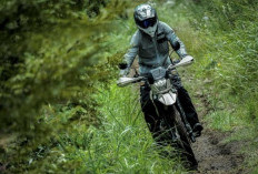 Kawasaki KLX230 Sherpa S 2026 Hadir di Indonesia, Harga Rp 59 juta