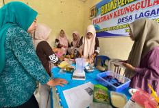 Bolen Pisang dan Bakpia Ubi Jadi Produk Unggulan, Pemdes Lagan Bungin Dorong Ekonomi Warga