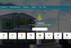 Carut Marut Pengelolaan Website Desa di Bengkulu Tengah: Website Tidak Aktif, Anggaran Dikucurkan Tiap Tahun