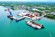 Terganggu Pendangkalan Alur Pelabuhan, PT PMS Bengkulu Tengah Klaim Alami Kerugian Besar