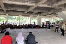 Nasib Honorer Bengkulu Tengah: Gaji Tak Kunjung Dibayarkan, THR Jauh dari Harapan