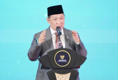 Wamenlu Anis Matta Puji Upaya Bantuan Kemanusiaan untuk Palestina