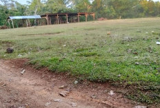 Pemdes Pasar Pedati Sediakan Lahan Parkir untuk Dongkrak PAD Desa