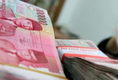 Pemda Mengencangkan Ikat Pinggang, Bagaimana Gaji PPPK Paruh Waktu?