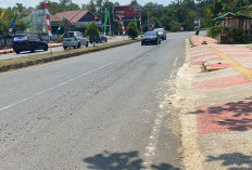 Hati-Hati! Muatan Palm Kernel Shell Berserakan di Depan Kantor Bupati Bengkulu Tengah Bisa Sebabkan Laka