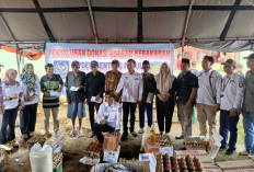 Sinergi DPMD, APDESI, dan PPDI Benteng: Bantu Warga Sekayun yang Tertimpa Musibah
