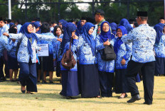 Kepala Daerah Kompak Usulkan Honorer Tak Masuk Pendataan BKN Diangkat PPPK Bertahap