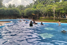 Sederet Alasan Buana Alit Waterpark Jadi Salah Satu Wisata Favorit Bagi Wisawatan