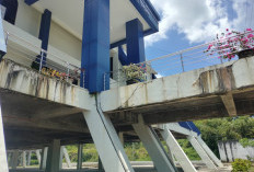 Gedung MPP Bengkulu Tengah Terlihat Tak Terawat, Kepala DPMPTSP: Usulan Perbaikan Sudah Diajukan