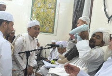 Tarim Bayi