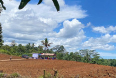 Jagung Jadi Andalan, Desa di Bengkulu Tengah Didorong Manfaatkan Layanan BPP