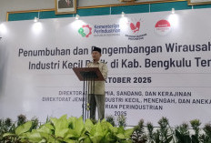 Dihadiri Anggota DPR RI, Pelaku Batik Sungai Lemau Kembangkan Inovasi Lewat Program WUB