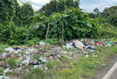 Tumpukan Sampah Meningkat Pasca Lebaran, Warga Keluhkan Pemandangan Tak Sedap