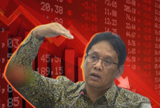FDI Purbaya