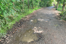 Kesepakatan Perbaikan Jalan Desa Dampak Pembangunan Bendungan Padang Segaro Tak Kunjung Direalisasikan