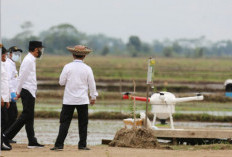 Aktivis Lingkungan: Food Estate Bukan Solusi Ketahanan Pangan