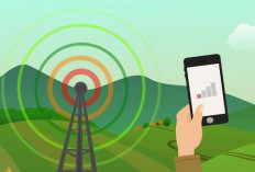 Simak! Ini Pesan Khusus Bagi Dinas Kominfotik dari Desa Terujung di Bengkulu Tengah