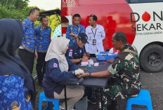 Kolaborasi PMI Bengkulu Tengah dan PMI Provinsi Bengkulu, Puluhan Kantong Darah Terkumpul dalam Sepekan