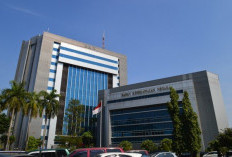 Tegas, BKN Sebut Ini Jika PNS dan PPPK Dilarang Rangkap Jabatan