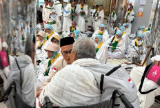 Jemaah Haji Bergerak ke Arafah, Kemenhaj Imbau Patuhi Jadwal dan Jaga Stamina