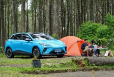 Rayakan 5 Tahun di Indonesia, MG Tebar Diskon dan Bonus hingga Rp 200 Juta
