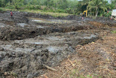 Ingin Miliki Kolam, DKPP Bengkulu Tengah Siapkan Alat Berat