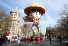 Parade Kalkun