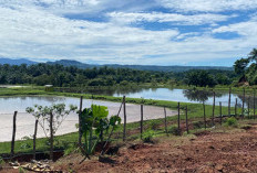 DLH Bengkulu Tengah Pastikan Limbah Industri Masih Kategori Aman, Ini Penjelasan Lengkapnya